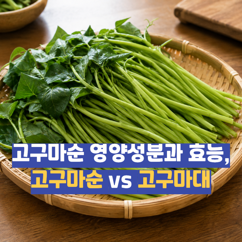 고구마순 효능과 제철시기는? 고구마순 vs 고구마줄기(고구마대) 차이점