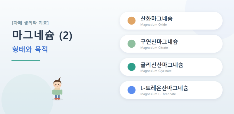 [자폐 생의학 치료] 마그네슘 (2) - 형태화 목적