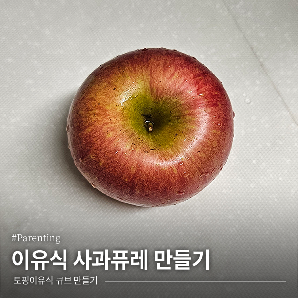 [이유식] 초기이유식 사과 퓨레 큐브 만들기 (퍼기 찜기)