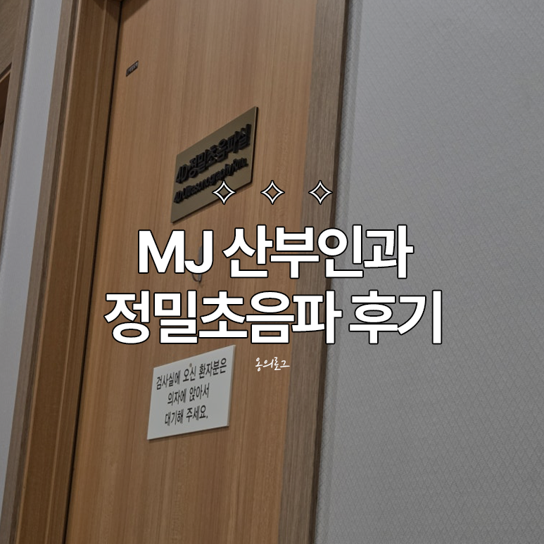 [출산 준비] 금천구 MJ 엠제이 산부인과 22주 정밀초음파 후기