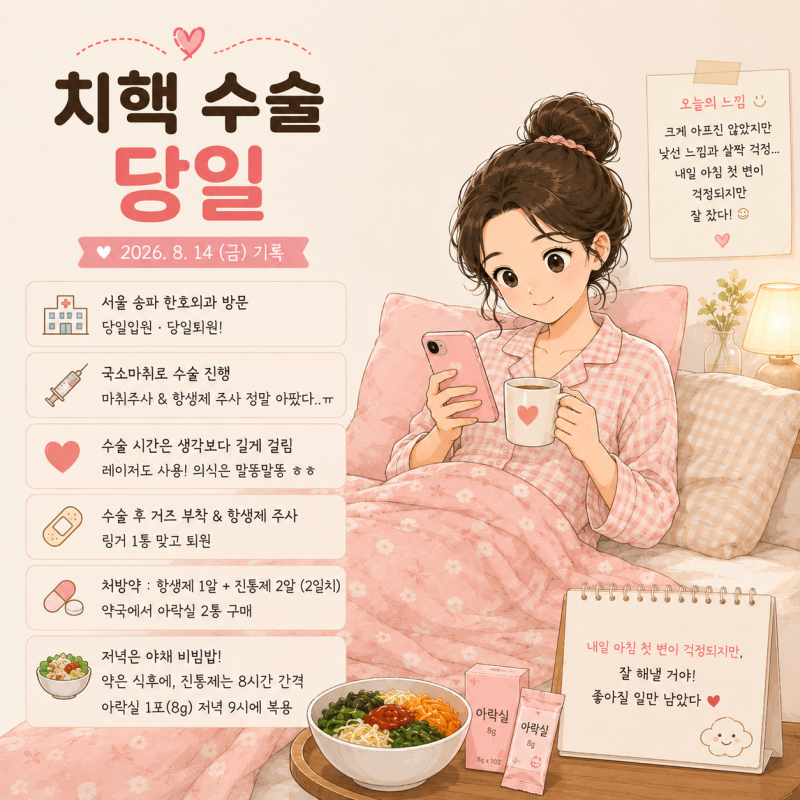 [수술당일] 치질(치핵) 수술 후기 (2026.08.14)