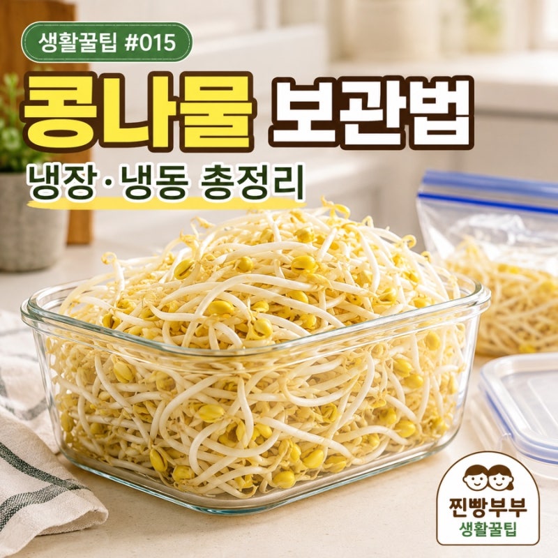 생활꿀팁 #015 콩나물 보관법 냉장·냉동 총정리 | 아삭하게 오래 보관하는 방법