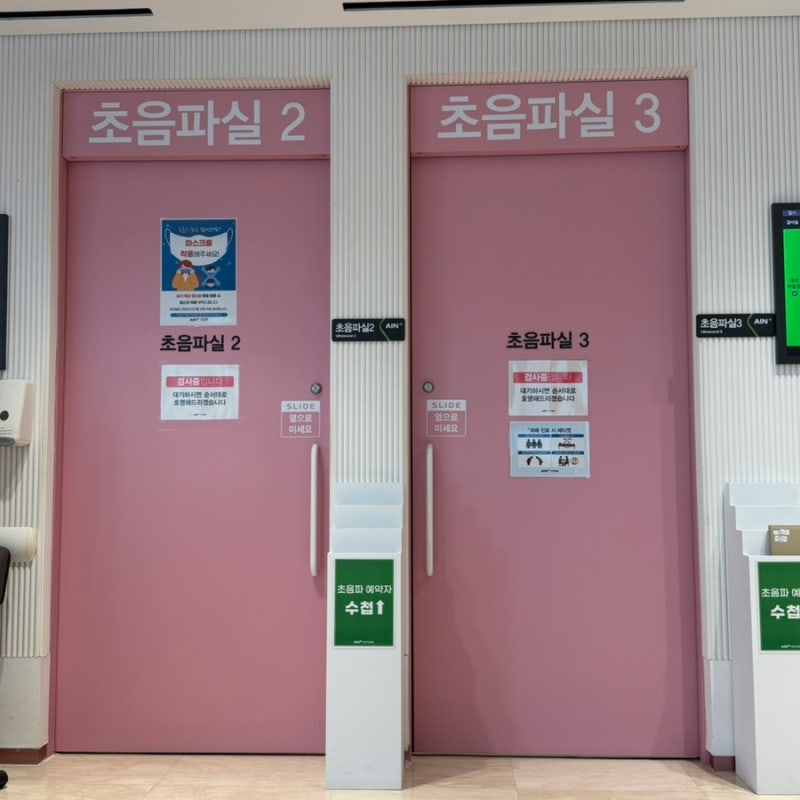 [임신 12주] 1차 기형아검사 초기정밀초음파 후기 / 아인병원 니프티 검사 비용