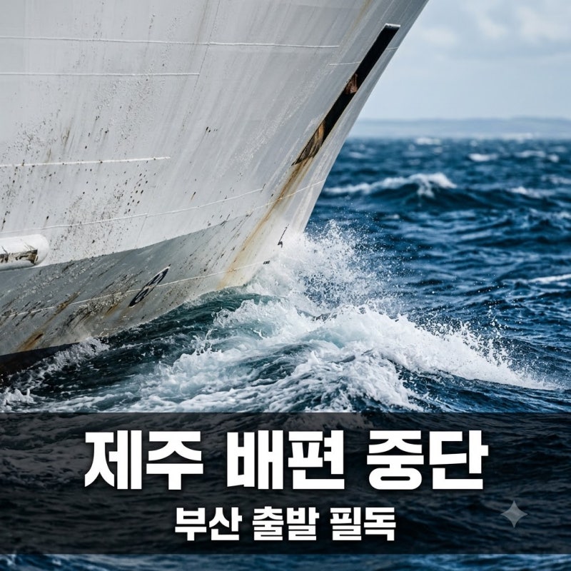 "결국 차 돌렸어요".. 부산에서 제주도 배편, 지금 바로 못 타는 의외의 이유