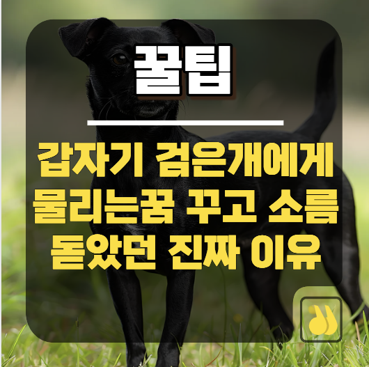 갑자기 검은개에게물리는꿈 꾸고 소름 돋았던 진짜 이유