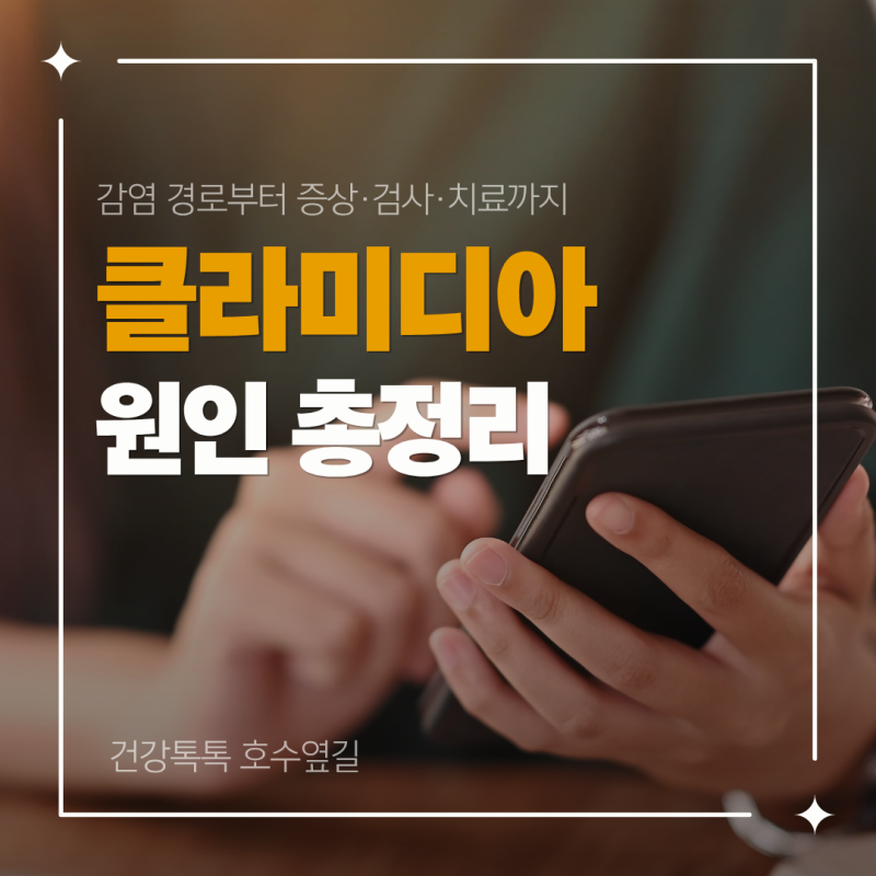 클라미디아 원인 총정리｜감염 경로부터 증상·검사·치료까지