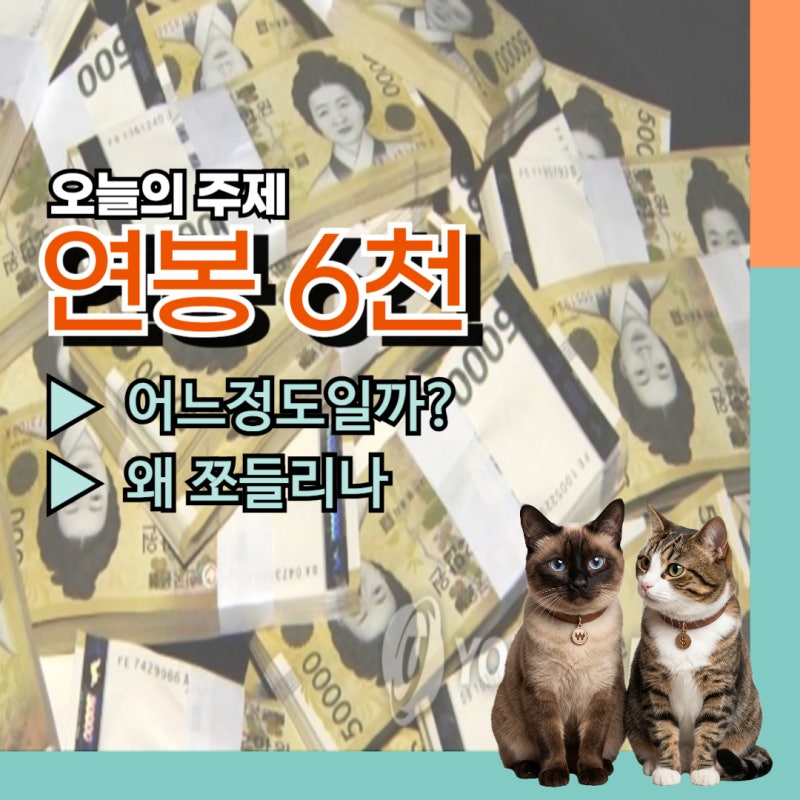 내 연봉 6천만 원이면 상위 몇 %일까 2026년 실수령액 표 4대보험 공제 보면 놀랄 수밖에