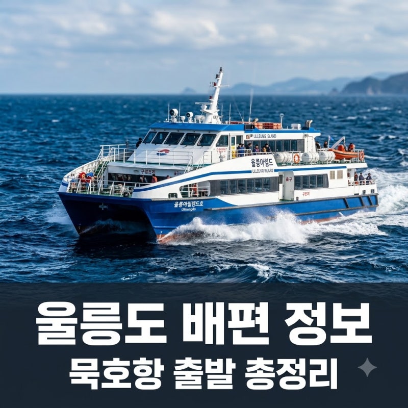 "성수기 요금 이정도?" 묵호항울릉도배편 예약 전 꼭 알아야 할 3가지..