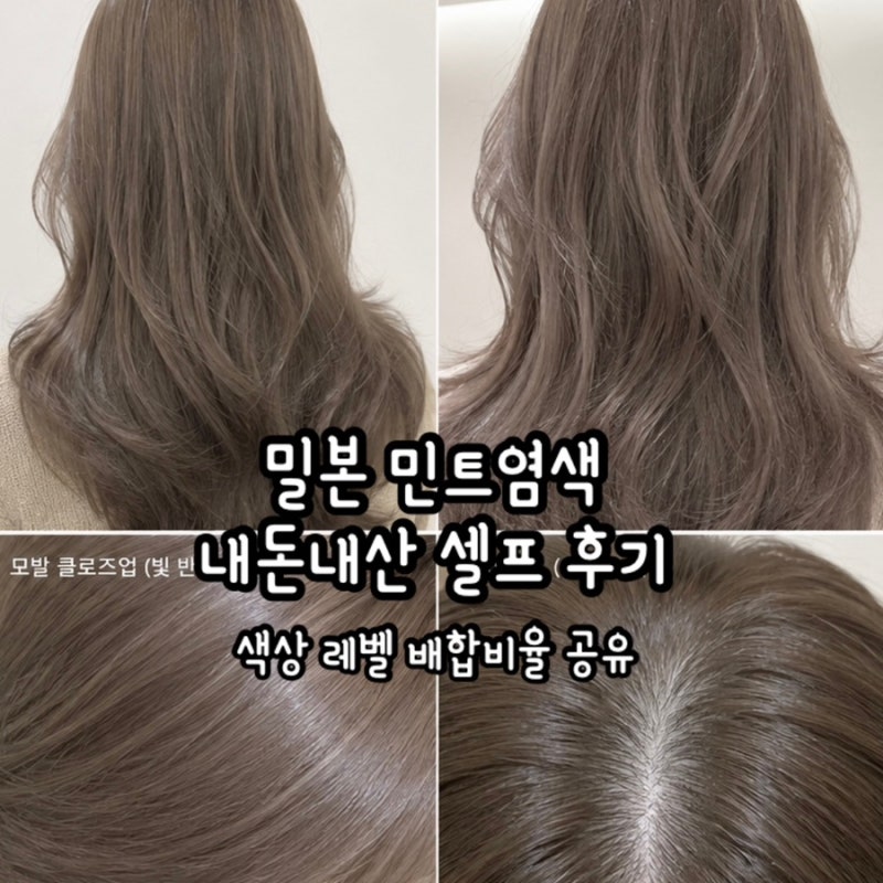 내돈내산 색상번호 배합비율 염색약추천후기 전후비교