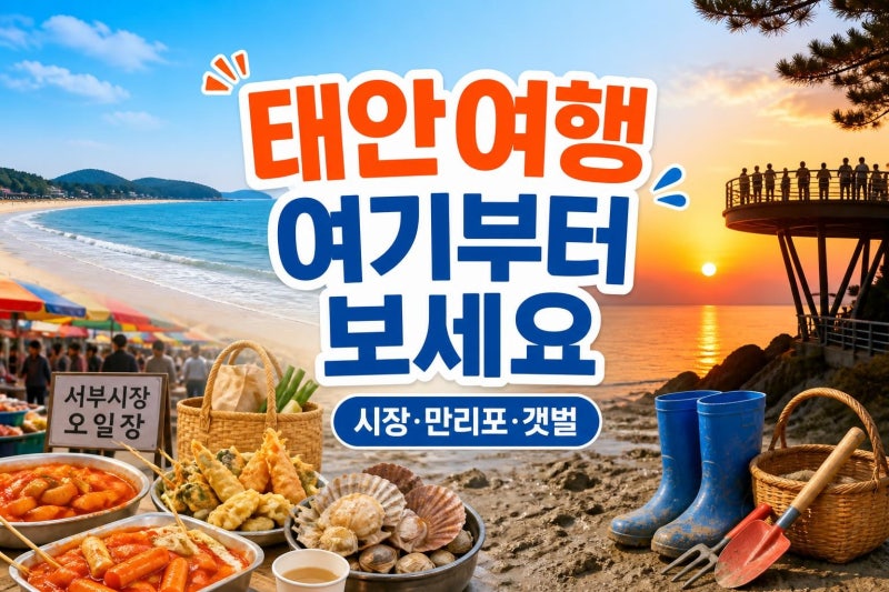 태안 가볼만한곳 한 번에 정리: 시장·만리포·갯벌까지 실패 줄이는 2박 3일 코스
