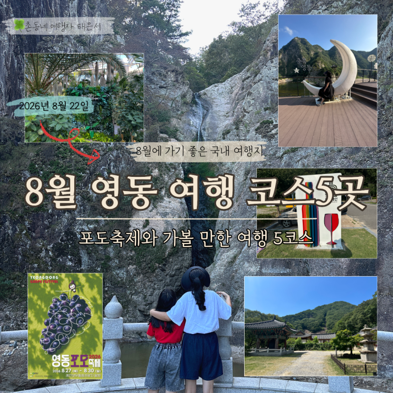 2026 영동포도축제와 충북 영동 당일치기 여행 가볼만한 곳 5곳