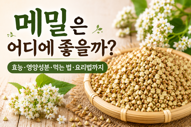 메밀은 어디에 좋을까? 효능·영양성분·먹는 법·요리법까지