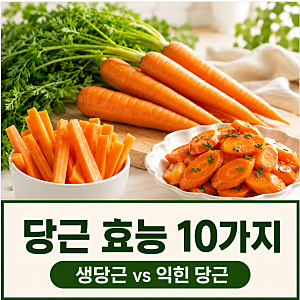 당근 효능 10가지, 생당근과 익힌 당근 어떻게 먹어야 좋을까?