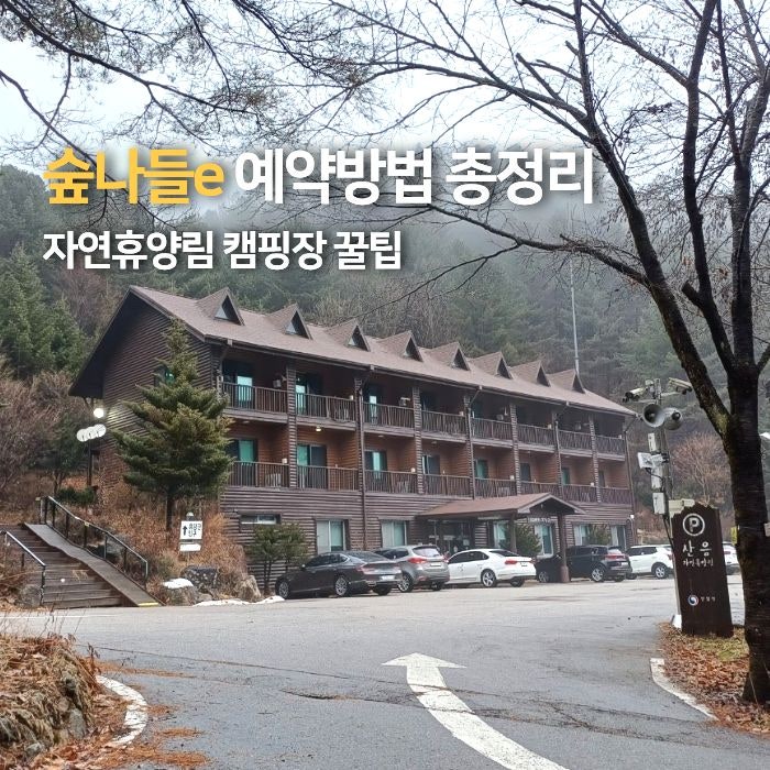 숲나들e 자연휴양림 예약방법 총정리 예약시간 오픈일 수락산 수락휴 트리하우스 캠핑장