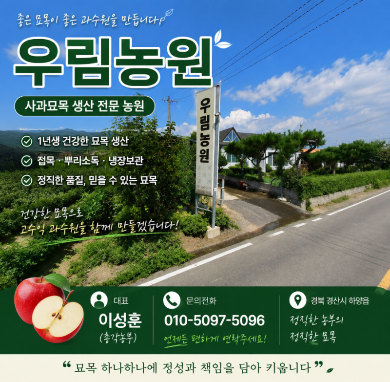 자근묘 문의가 많아 안내드립니다.