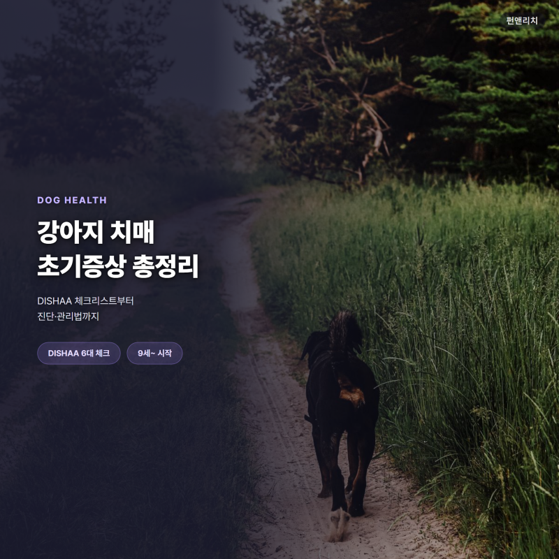 강아지 치매 초기증상, DISHAA 체크리스트부터 관리법까지