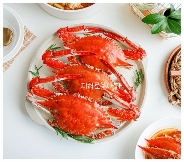 가을 생물 살아있는 꽃게 찌는법 찌는 시간 손질법