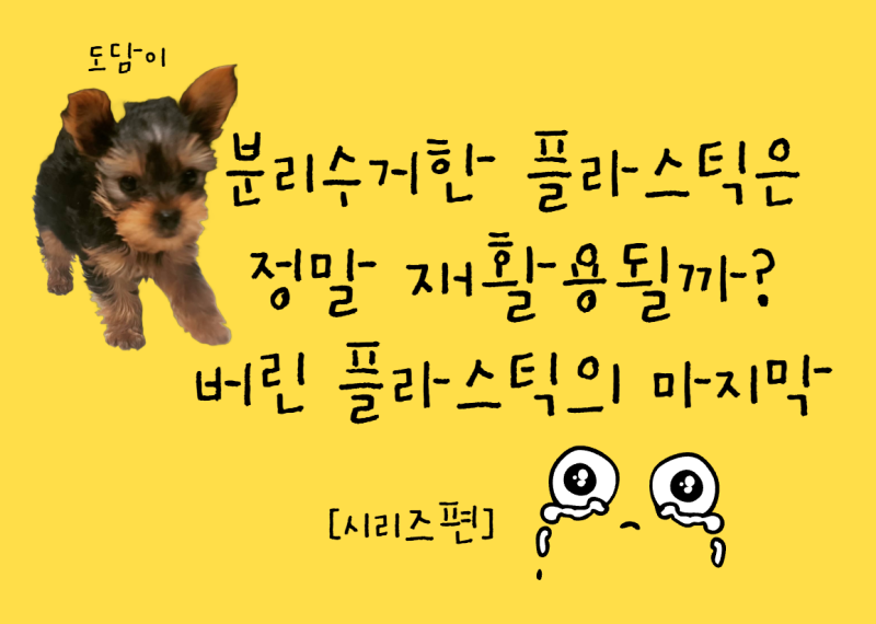 열심히 분리수거한 플라스틱은 정말 재활용될까? 버린 플라스틱의 마지막