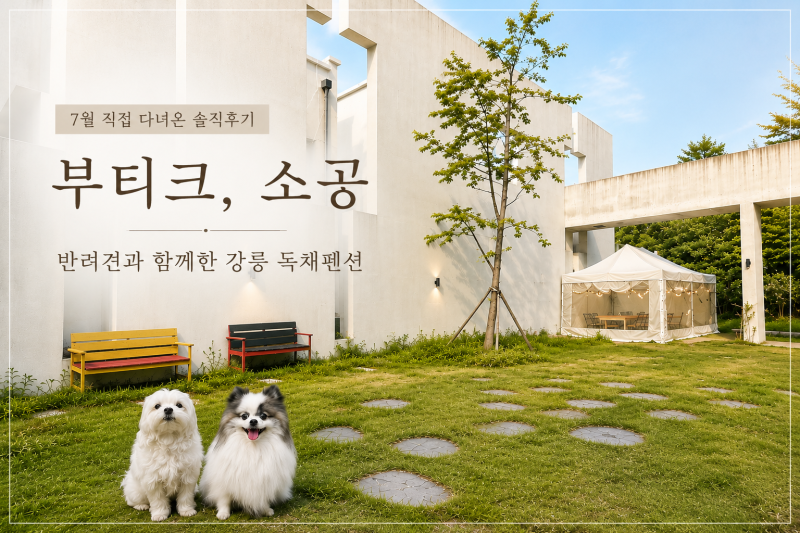 강릉 애견동반 숙소 부티크소공, 진짜 괜찮을까?