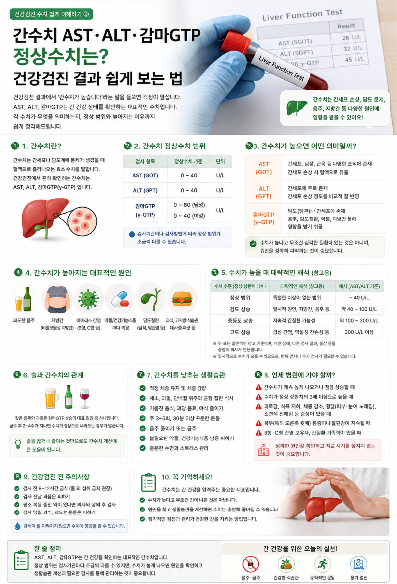 간수치 AST·ALT·감마GTP 정상수치는? 건강검진 결과 쉽게 보는 법