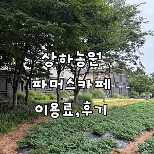 광주근교가볼만한곳ㅣ고창 상하농원ㅣ이용료,이용방법,파머스카페 후기(+풀바셋 원두사용....
