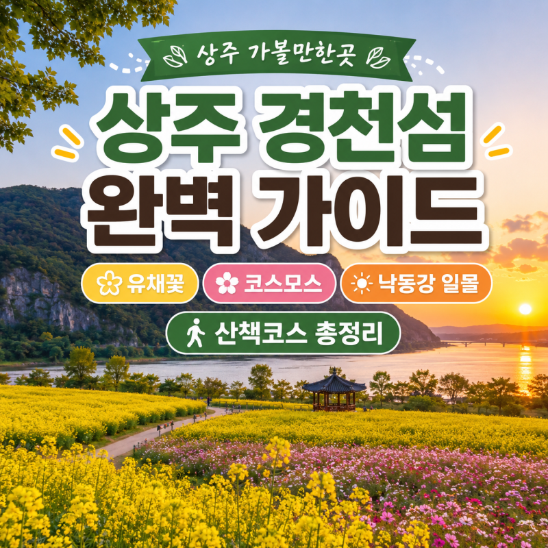 Sangju Attractions: Complete Guide to Gyeongcheonseom! Rapeseed Flowers, Cosmos, Nakdonggang Sunset, and Walking Course