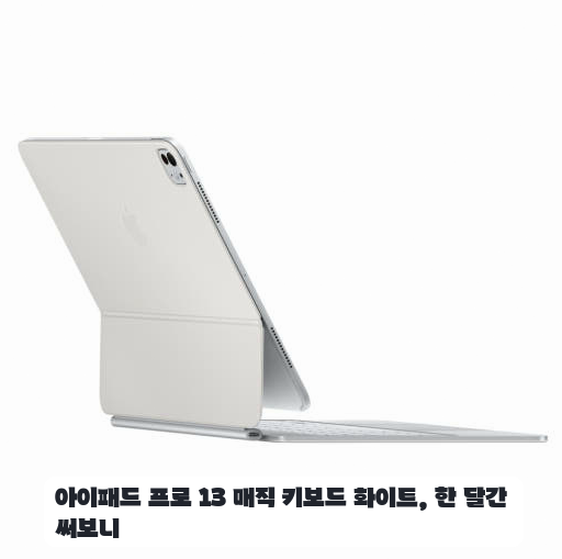 카페에서 작업할 때 써본 아이패드 프로 13 매직 키보드 한 달 사용기