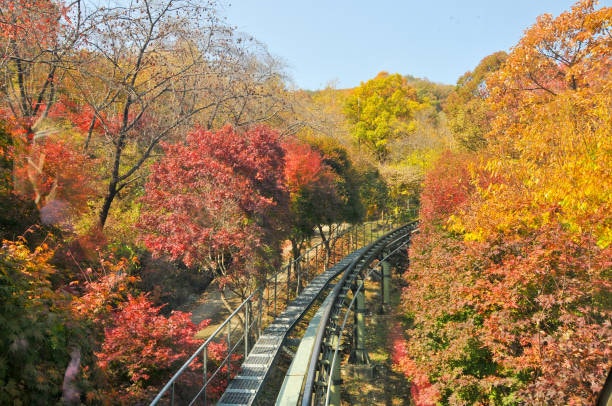 화담숲 예약 방법 총정리｜예약 오픈부터 모노레일까지 실패하지 않는 방법