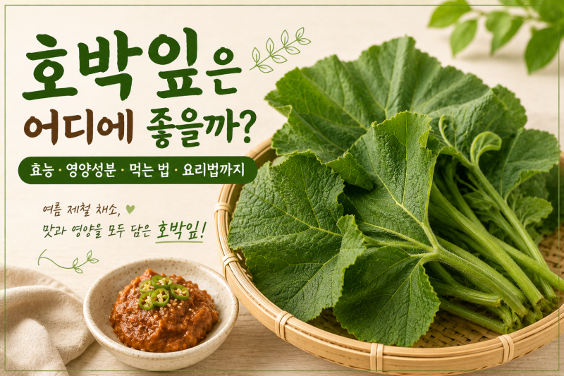 호박잎은 어디에 좋을까? 효능·영양성분·먹는 법·요리법까지