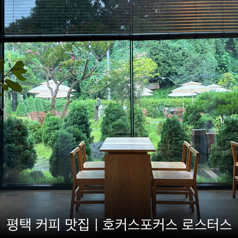 평택 로스터리 카페 호커스포커스｜커피 맛집으로 유명한 이유