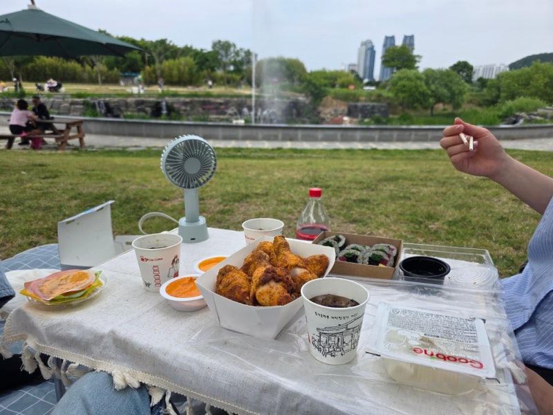 울산 피크닉 명소 추천 - 태화강 국가정원