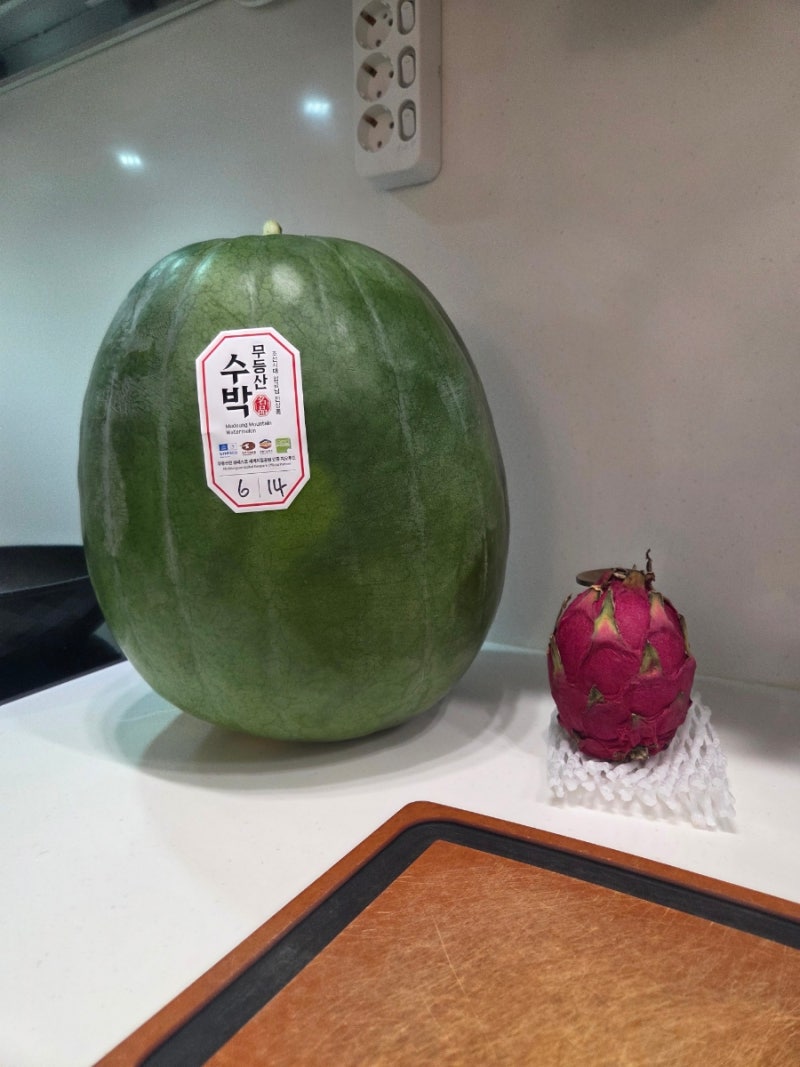 2026 무등산수박 14kg 구매, 가격, 택배 후기