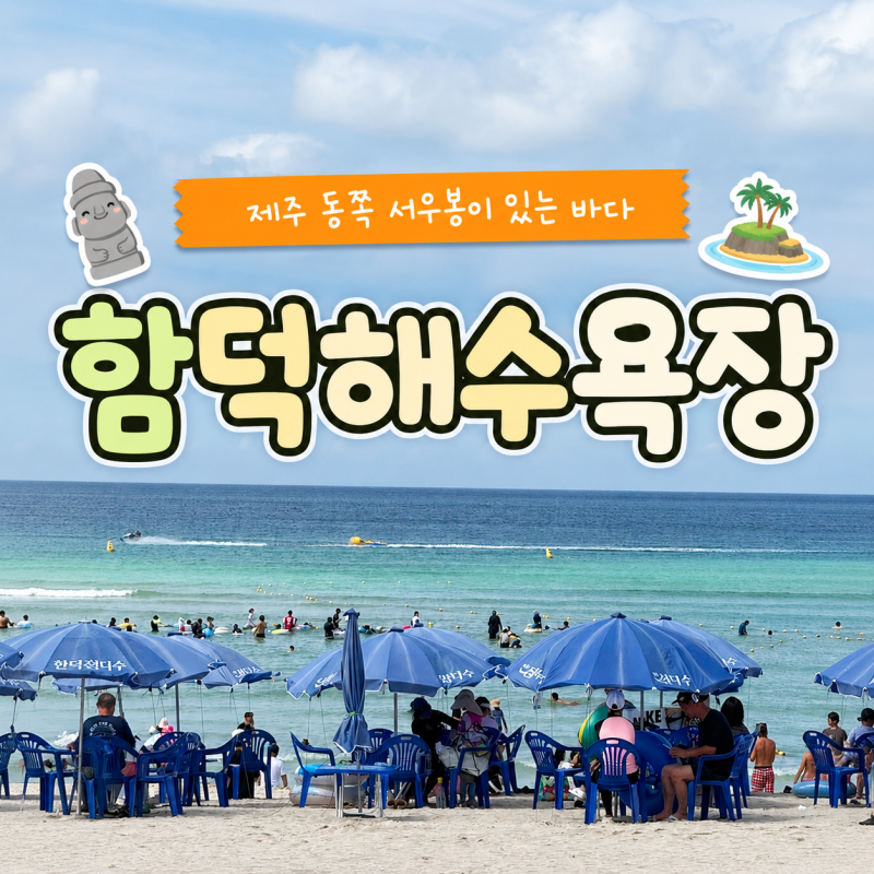 제주 함덕해수욕장 물놀이부터 서우봉 산책까지 (주차, 온수샤워장)