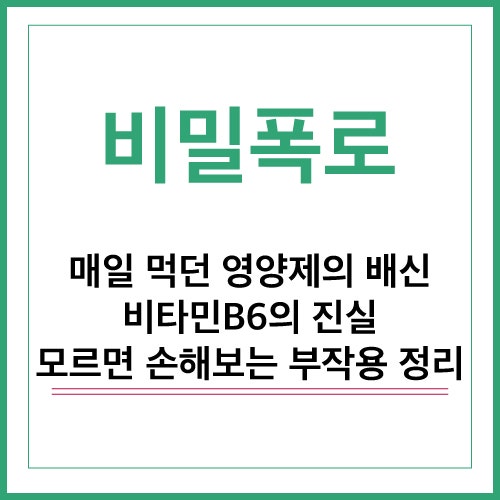 비타민 B6 피리독신 효능 및 권장량 알아보기