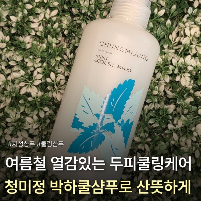 여름철 열감있는 두피쿨링케어, 청미정 박하쿨샴푸로 산뜻하게