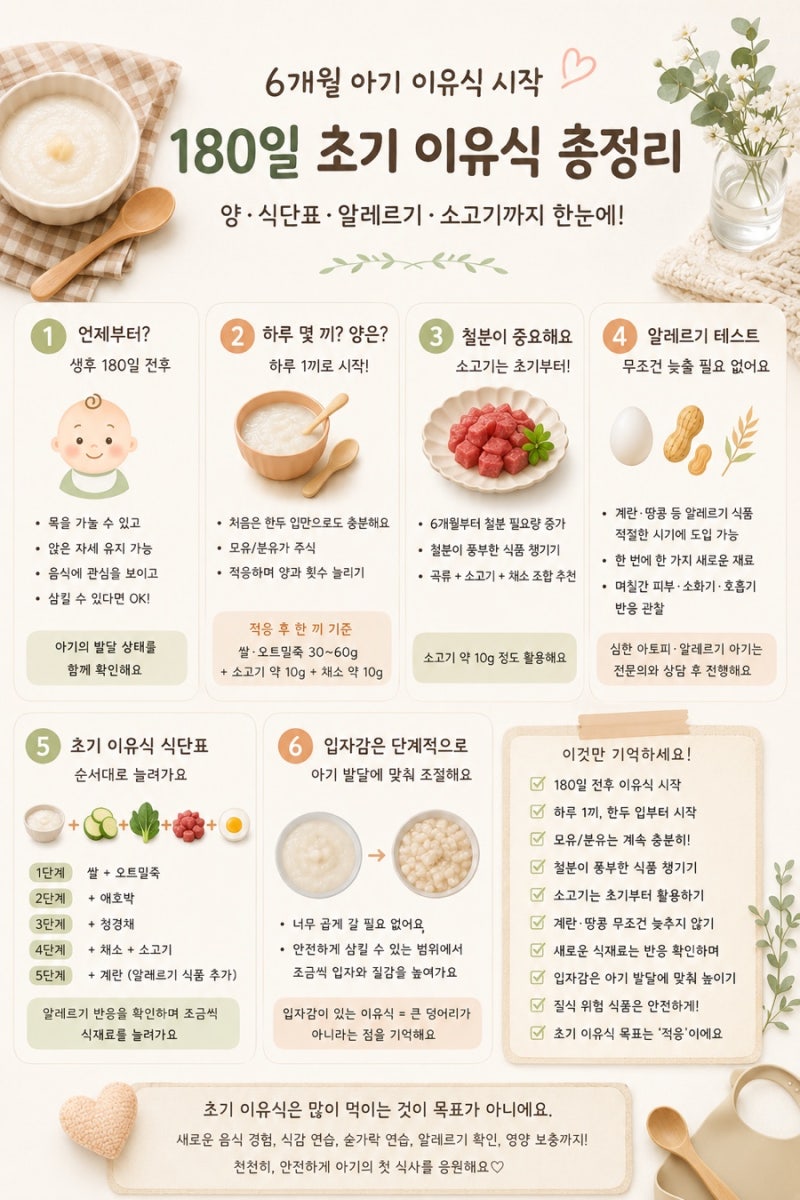 이유식 | 6개월 아기 이유식 시작, 180일 초기 이유식 양·식단표·알레르기·소고기