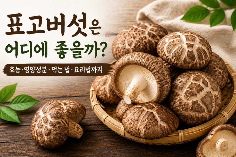 표고버섯은 어디에 좋을까? 효능·영양성분·먹는 법·요리법까지