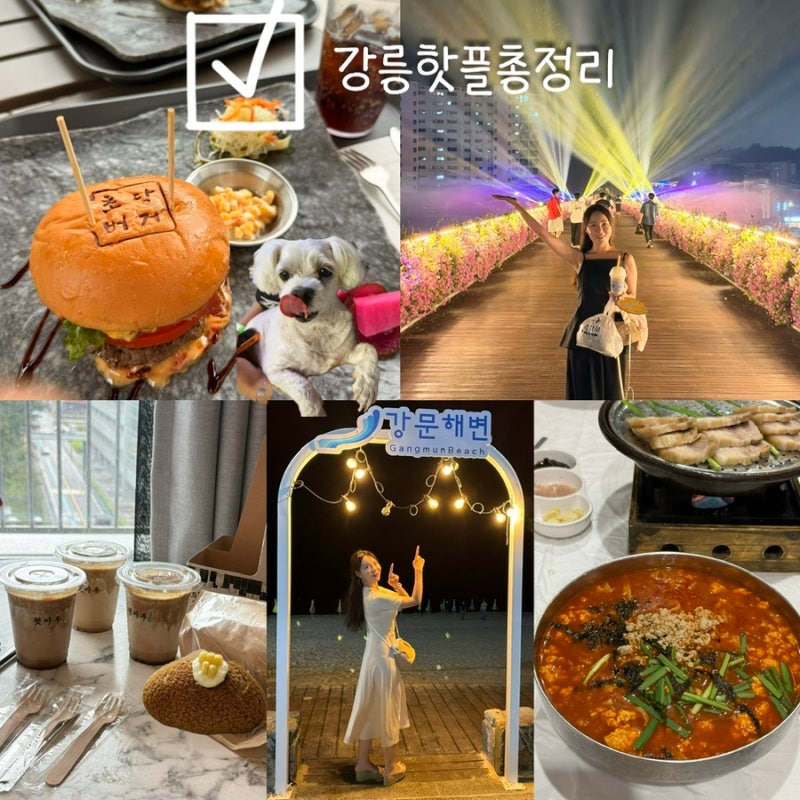 강릉 애견동반 여행 코스｜초당버거·고씨네막국수·툇마루대기·멍비치·중앙시장(사임당오....