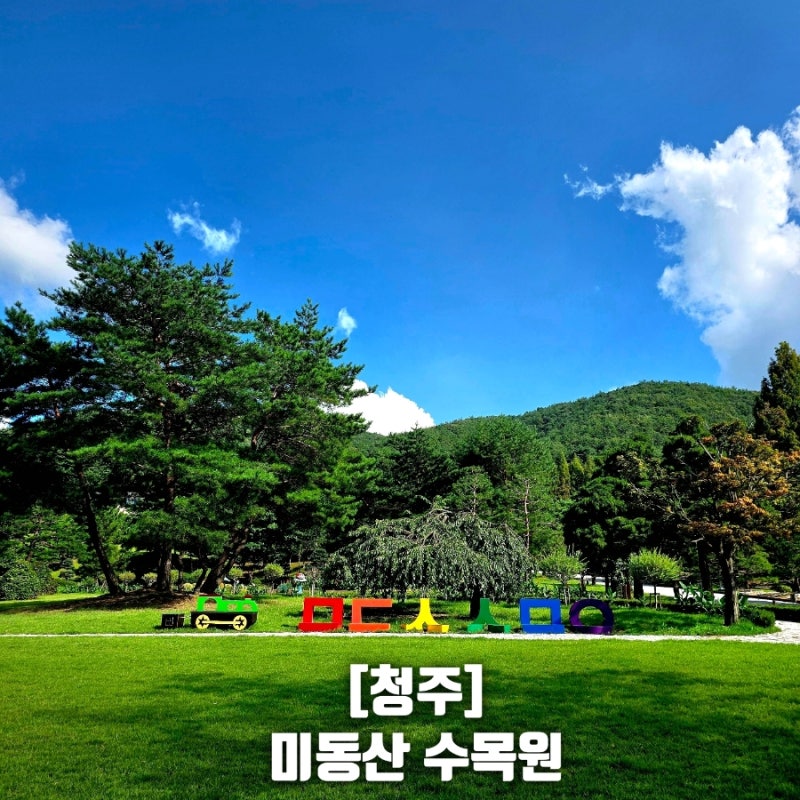 [청주 가볼만한곳]흐드러진 목수국 만개한 ‘미동산 수목원’ 맨발 황톳길