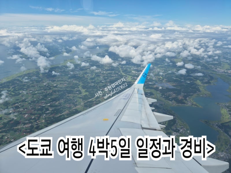 도쿄 여행 4박 5일 일정 그리고 경비