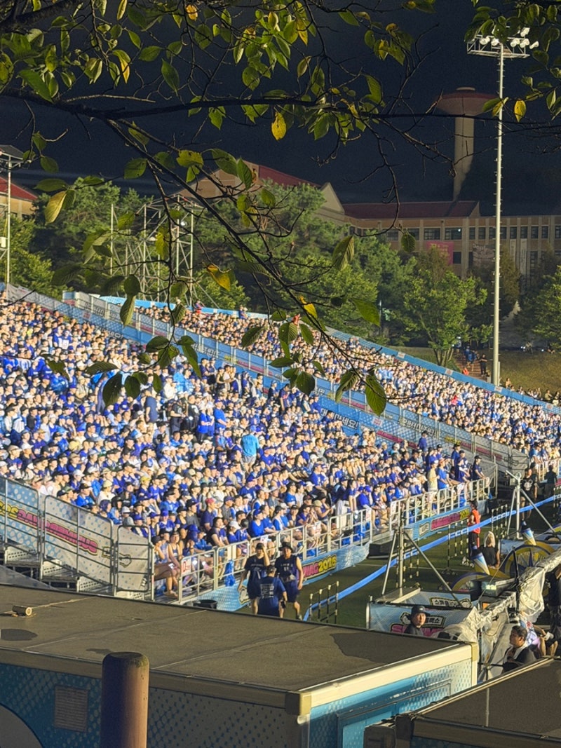 Psy Concert Review: 2026 Puddle Show Final in Daejeon Mokwon University - Your Ultimate Guide to Preparations and Parking Tips
