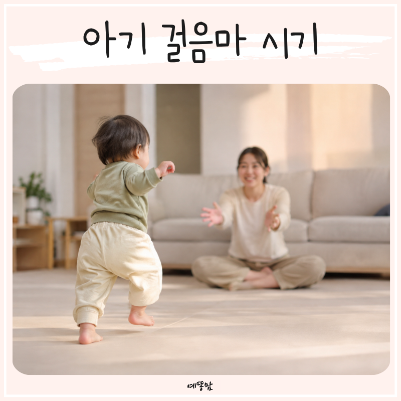 아기 걸음마 시기 언제부터? 보조기보다 먼저 챙겨보는 첫 신발
