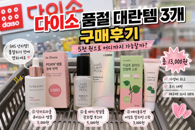 다이소 품절 대란템 3개 구매후기｜5천 원으로 어디까지 가능할까