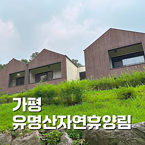 가평 숙소 유명산자연휴양림 휴양관 벼락바위 후기 계곡 물놀이, 객실 명당