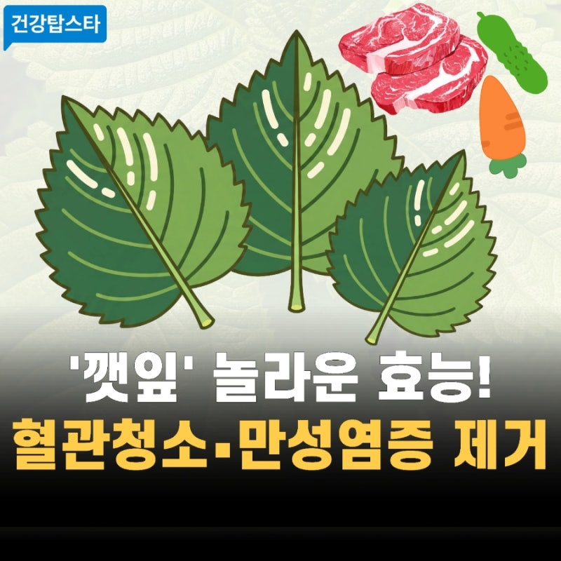 깻잎 효능, 콜레스테롤 낮추고 혈관 속 찌꺼기와 만성 염증 제거까지
