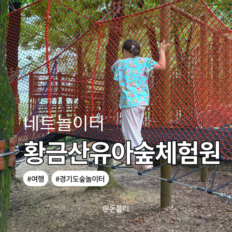 경기도 네트놀이터 숲놀이터 황금산 유아숲체험원