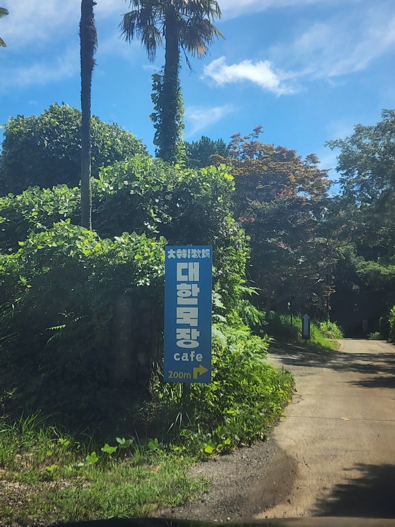 제주도 아이와 가볼만한곳 홀스테라피 체험 | 대한목장