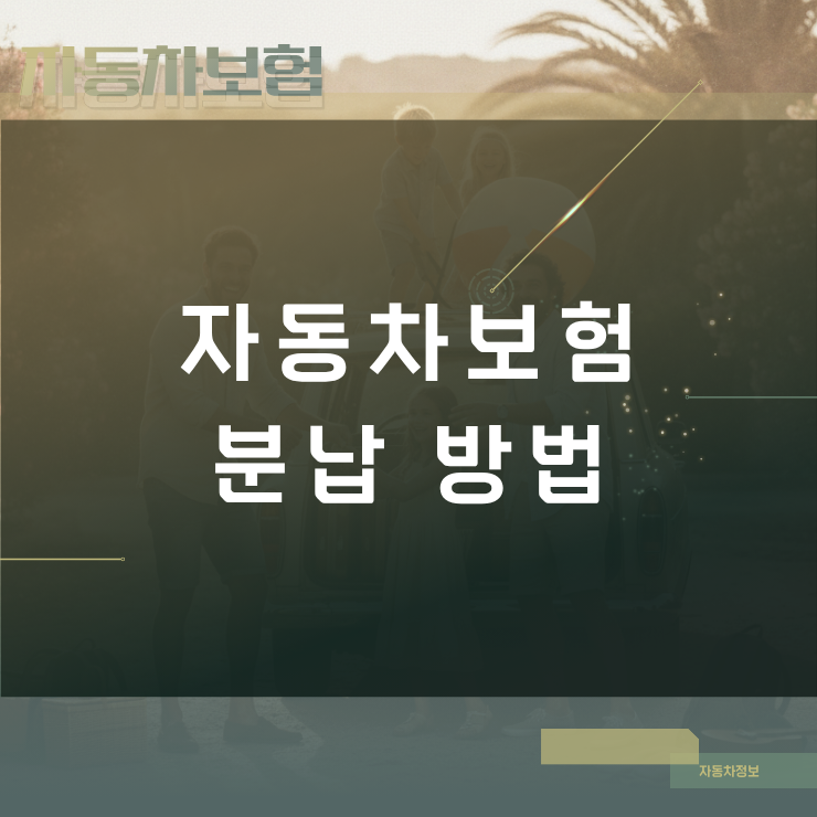 자동차보험 분납 방법 신청 절차와 무이자 할부 결제 조건 비교