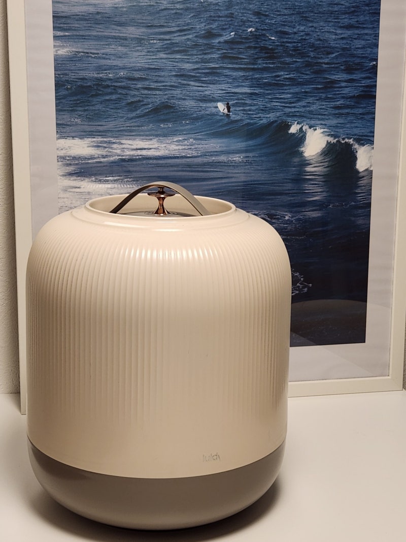 플루딕 진공쌀통 10kg 6개월 사용 솔직후기 (쌀 곰팡이 두 번 겪고 내린 결론)