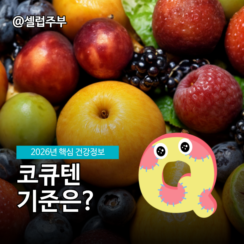 40대 코큐텐 효능 "유비퀴논과 유비퀴놀 차이"